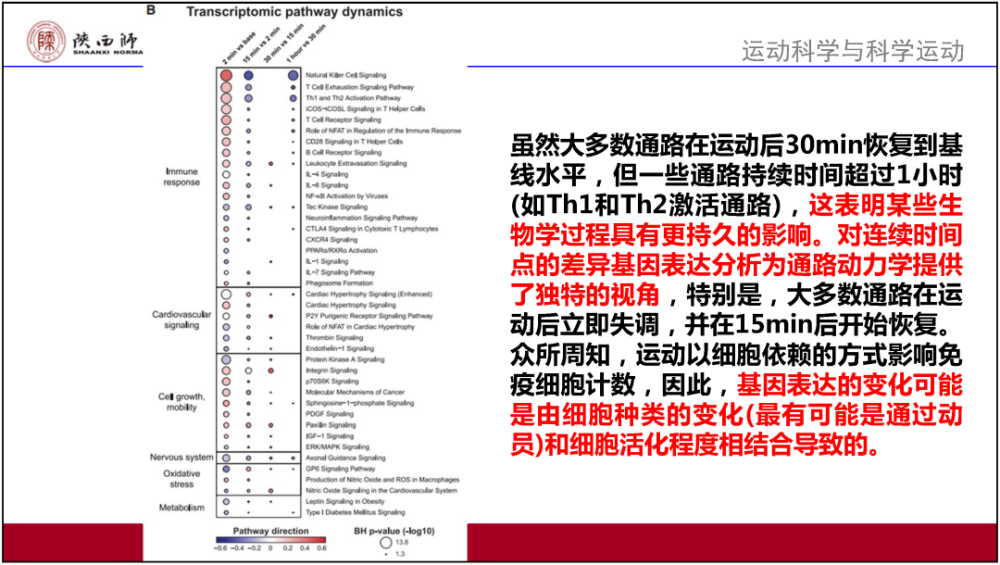 2023澳门天天正版资料,解析解释说法_XXR29.632驱动版