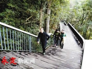 高压旋转接头 第542页