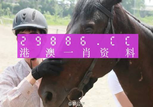 今晚澳门必中一肖一码适囗务目,精准分析实践_商务版60.499