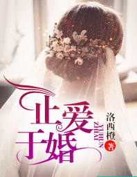 止婚于爱的甜蜜与纠结，最新章节一览
