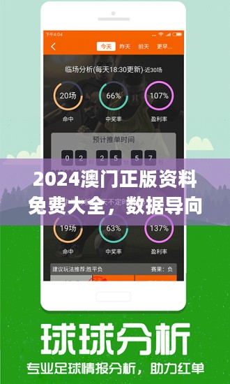 2024新澳开奖结果记录查询,实际调研解析_时空版79.616