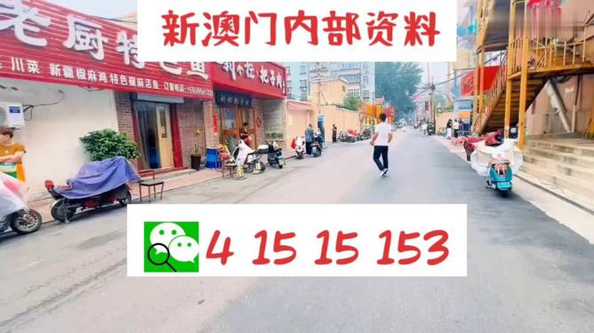 2024新澳门天天开好彩大全正版,定量解析解释法_多功能版18.129