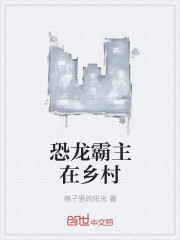 回转接头 第285页