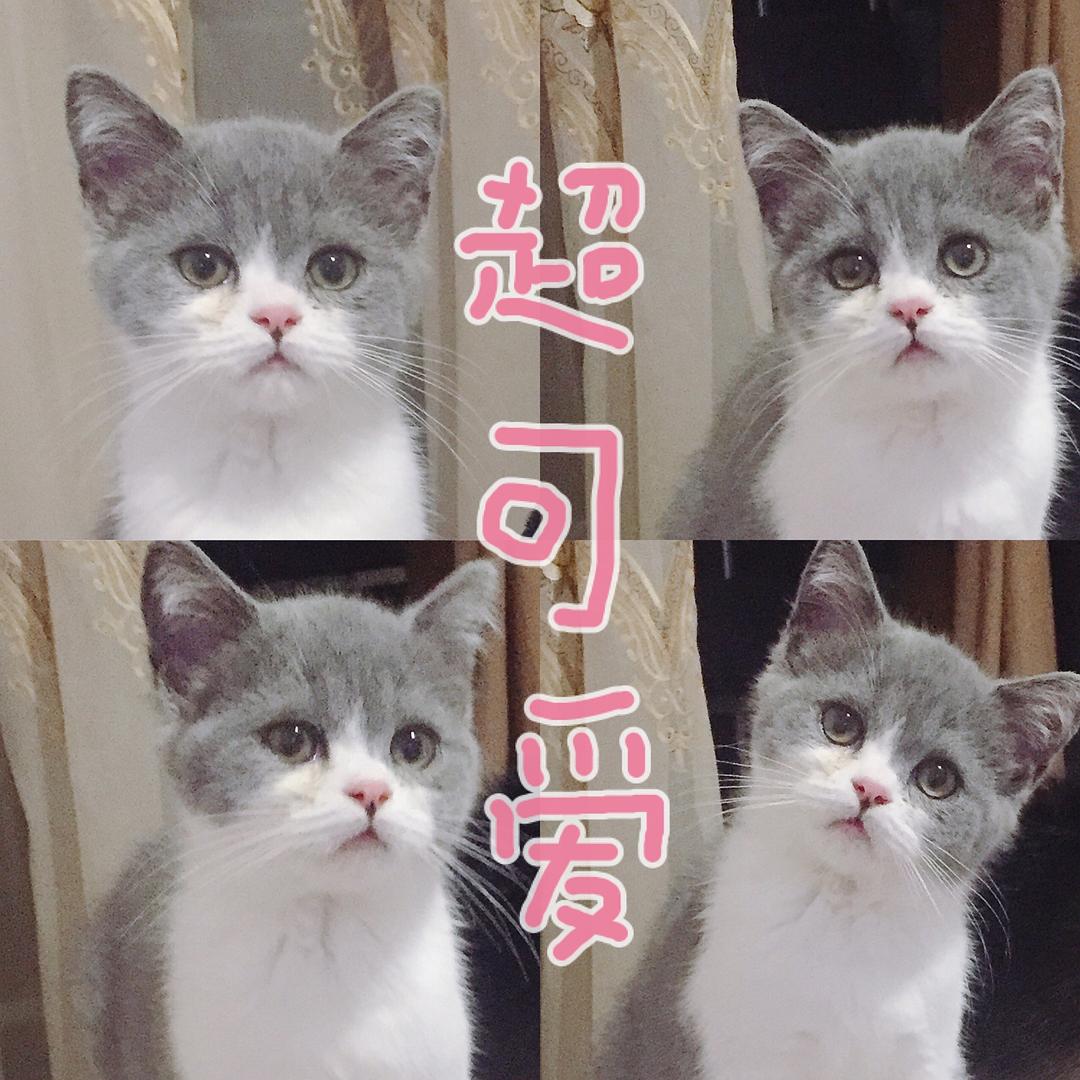 高压旋转接头 第258页