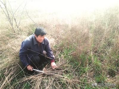 高压旋转接头 第256页