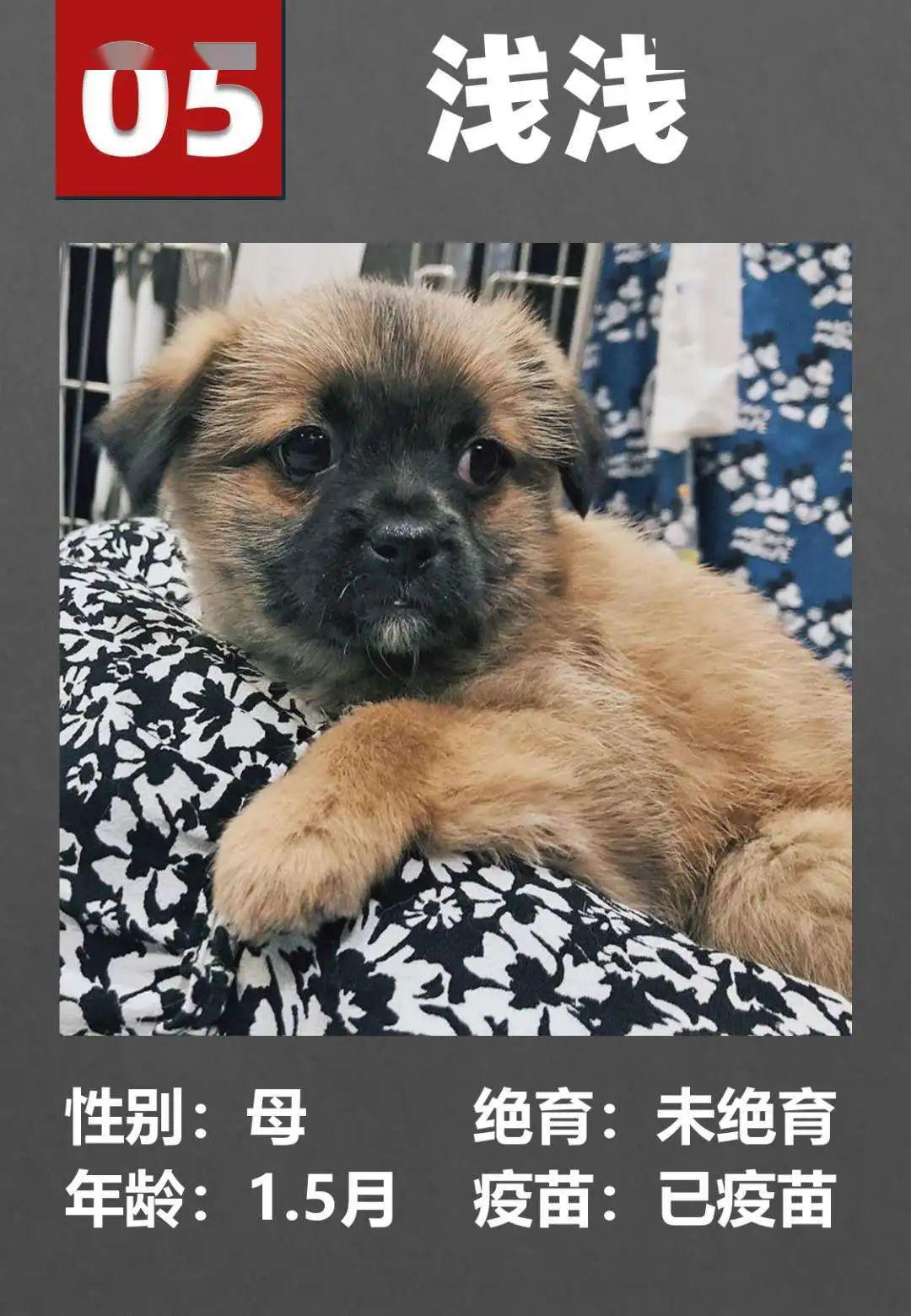 回转接头 第231页