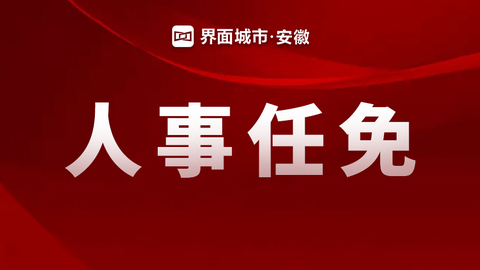 安徽省最新人事任免动态及观点论述