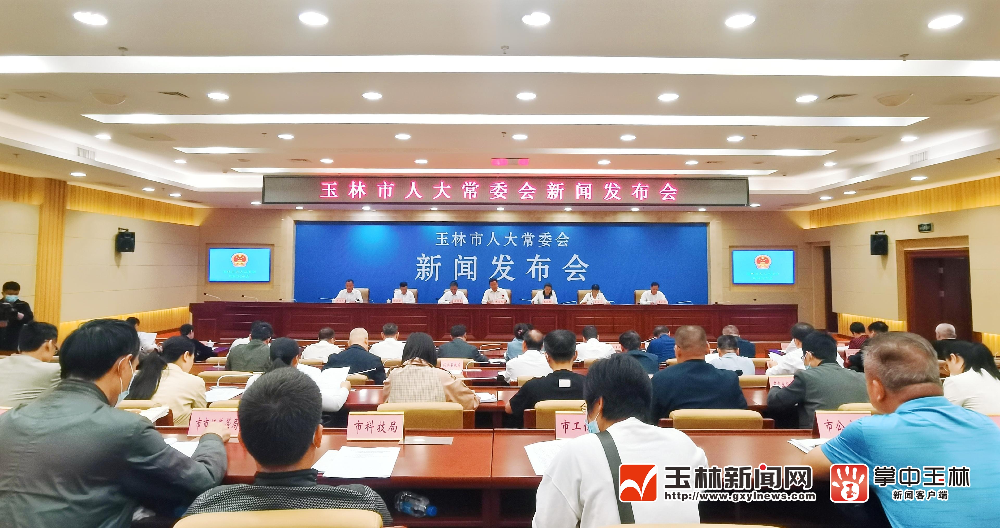 广西玉林新闻最新动态及任务指南获取与了解