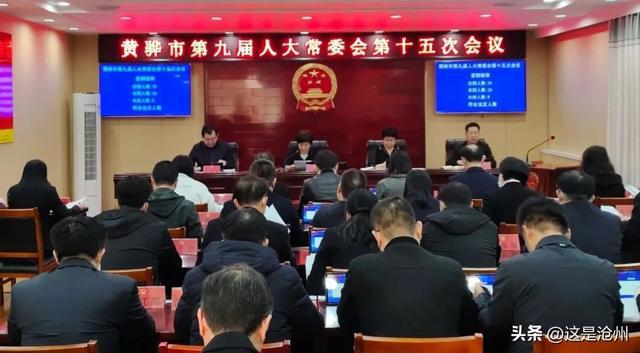 沧州市干部最新任免，科技重塑管理，智能引领未来新篇章