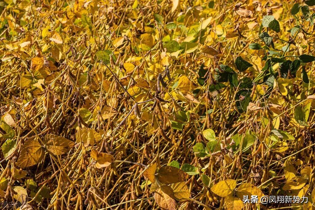 导热油旋转接头 第178页