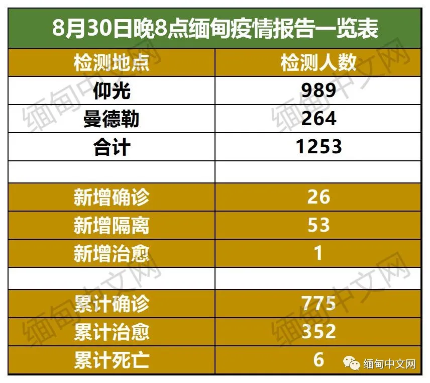缅甸最新确诊步骤指南，初学者与进阶用户均可参考的实用指南