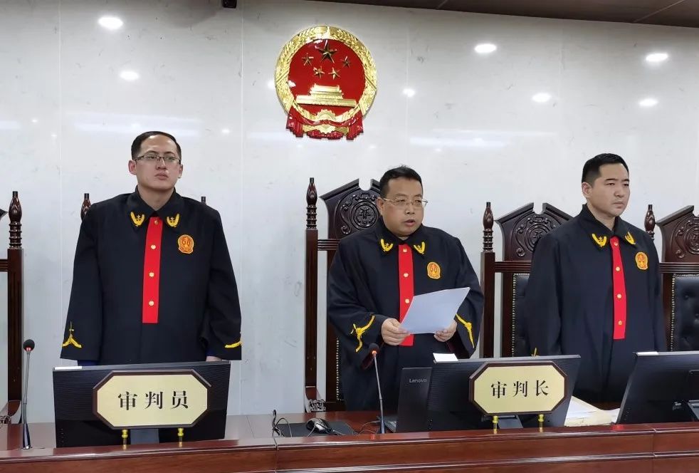 乐陵市法院最新判决详解，观点阐述与分析